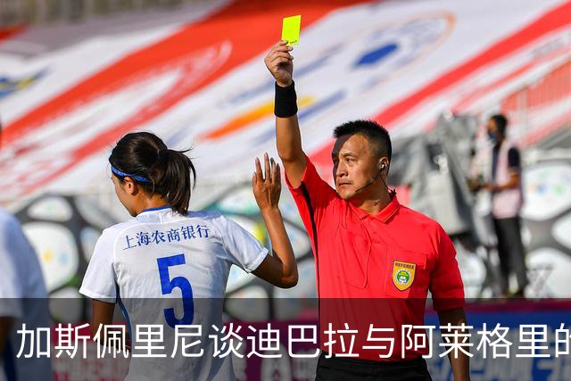 加斯佩里尼谈迪巴拉与阿莱格里的“无理言论